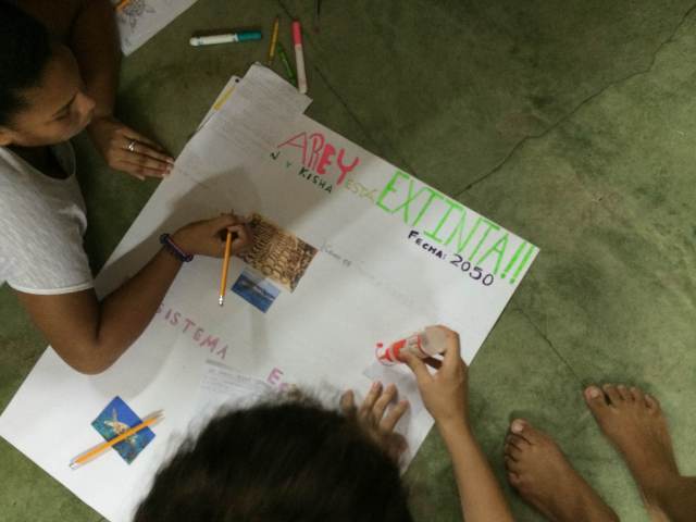 Working on our poster of the Hawksbill going extinct in 2050.