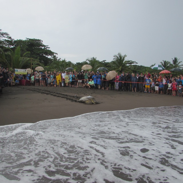 Esperanza making her way to the sea with the crowd watching.
